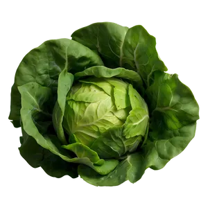 Sweet Lettuce Png Rti PNG image