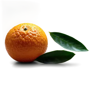 Sweet Navel Oranges Png Vmk42 PNG image