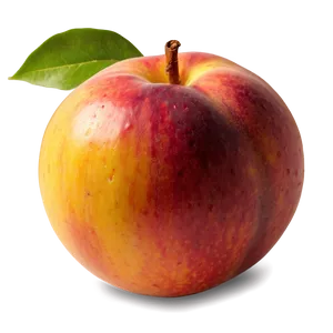 Sweet Nectarine PNG Wob9 PNG