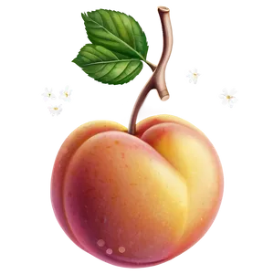 Sweet Peach Cartoon Png 57 PNG image