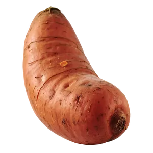 Sweet Potato D