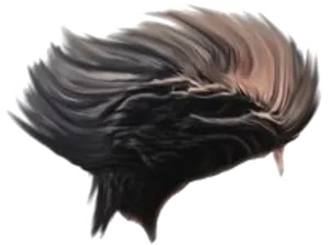 Swept Back Hair Overlay PNG image