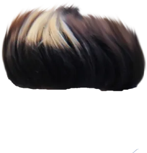 Swept Back Hair Texture PNG image