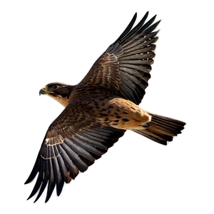 Swift Flying Falcon PNG 06122024 PNG