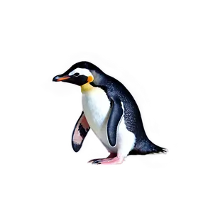 Swimming Penguin PNG 05062024