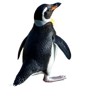 Swimming Penguin PNG 43