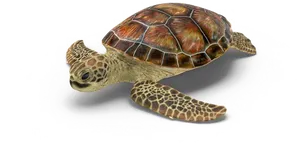 Swimming Sea Turtle Illustration PNG image