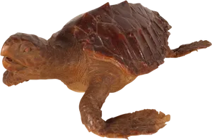 Swimming_ Turtle_ Transparent_ Background.png PNG