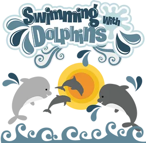 Swimming With Dolphins Graphic PNG image