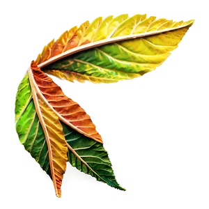 Swirling Leaves Autumn PNG 06132024