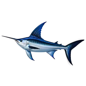 Swordfish Vs Marlin PNG 63 PNG