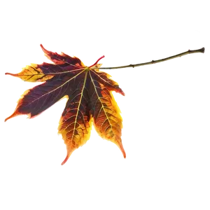 Sycamore Leaves Autumn Png 05042024 PNG image
