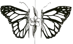 Symmetrical Butterfly Art PNG image