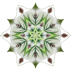 Symmetrical Green Floral Mandala PNG image