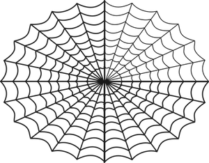 Symmetrical Spider Webon Black Background PNG image