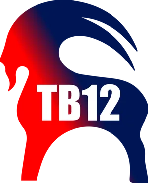 T B12 Logo Graphic PNG image