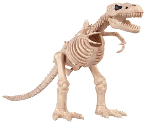 T Rex Skeleton Illustration PNG image