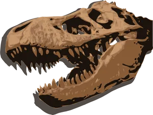 T Rex Skull Illustration PNG image