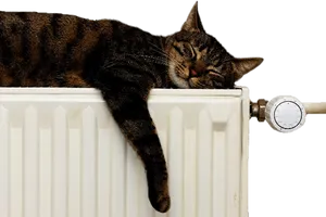 Tabby Cat Relaxingon Radiator PNG image