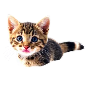 Tabby Kitten PNG 71