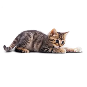 Tabby Kitten PNG Gdx