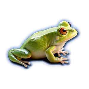 Tadpole To Frog Clipart PNG 72