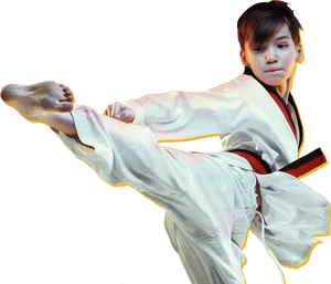 Taekwondo Kick Action Pose PNG image