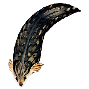 Tail D PNG image