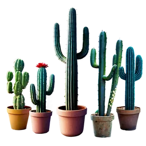Tall Cactus Png 40 PNG image