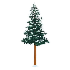 Tall Evergreen Tree Png 06212024 PNG image