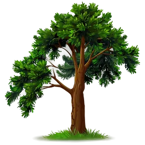 Tall Evergreen Tree Png 68 PNG image