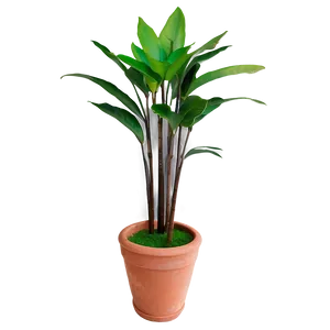 Tall Floor Plant PNG Xyu35 PNG