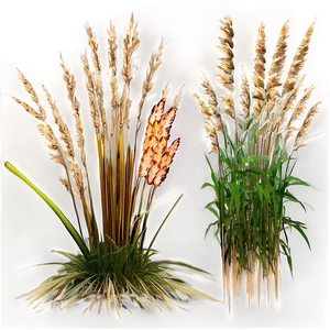 Tall Ornamental Grass Png 18 PNG image