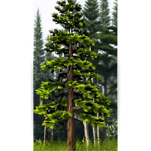 Tall Pine Trees Png Sfr PNG image