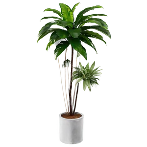 Tall Plant Corner Decor PNG Key