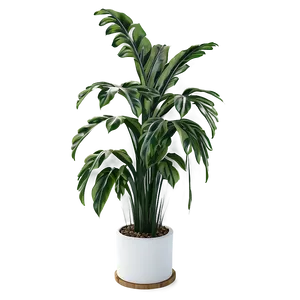 Tall Plant Corner Decor PNG Mtt