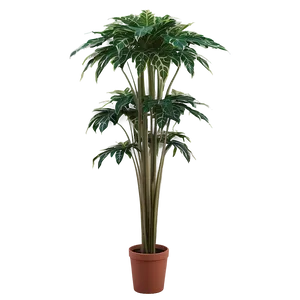 Tall Plant In Natural Light PNG Wdx