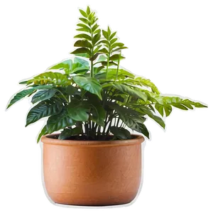Tall Plant On Transparent Background PNG 62