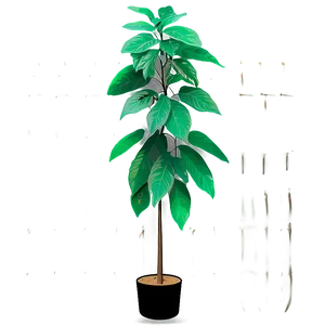Tall Plant On Transparent Background PNG Wan