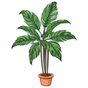 Tall Plant Sketch Png Eft PNG image