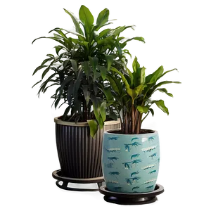 Tall Potted Plants For Privacy PNG Erx22 PNG