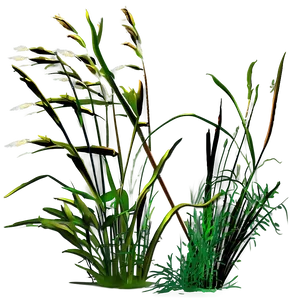 Tall Prairie Grass Png 04292024 PNG image