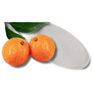 Tangerine Artistic PNG 73
