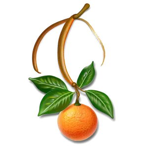Tangerine Artistic PNG Bvj86 PNG