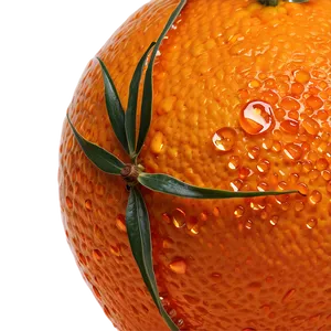 Tangerine Close-up PNG 30 PNG
