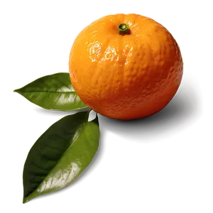 Tangerine Close-up PNG Qof7