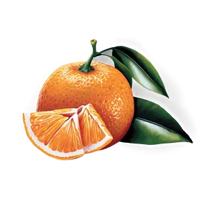 Tangerine Garnish PNG 94
