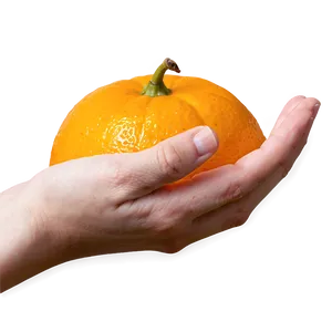 Tangerine In Hand PNG 92
