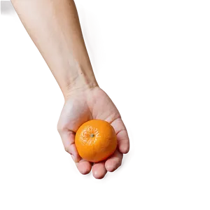 Tangerine In Hand PNG Jlg