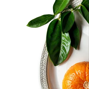 Tangerine On Plate PNG Tcp